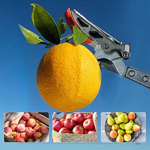 Градински ножици GARTOL, Прорезна до 1 инча и Задържащ Телескопична Ножици за пръчки, за да Приема плодове с Въртящи