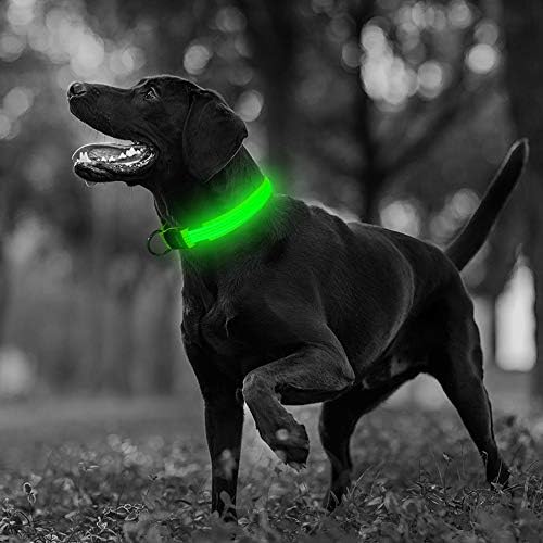 Нашийник за кучета Illumifun LED, Отразяваща Найлонов Нажежен Яка, USB Акумулаторна Защитен Нашийник за домашни любимци,