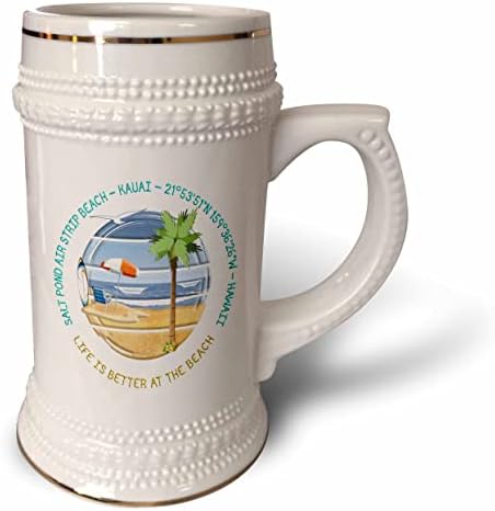 3. Американски плажове - Соленото Езеро Еър Стрийп Бряг, Кауай, Хавай. - чаша за стейна на 22 унция (stn-375450-1)